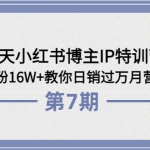 28天小红书博主IP特训营《第6+7期》4个月涨粉16W+教你日销过万月营收30万