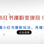 21天小红书涨粉变现营（第3期）：带你掌握小红书爆款玩法，月赚10W+秘密
