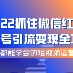 2022抓住微信红利,视频号引流变现全攻略,人人都能学会的短视频运营玩法
