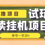 【偷撸项目】外面收费998的试玩阅读协议挂机项目 单号一天30+【脚本+教程】