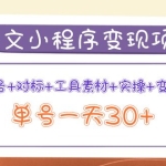 图文案小程序变现项目：养号+对标+工具素材+实操+变现，单号一天30+