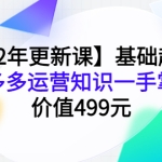 20222年更新课：基础起步，拼多多运营知识一手掌握，价值499元