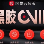 【热门项目】网易云撸黑胶年卡及变现方法，收益可无限放大