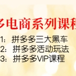 拼多多电商系列课程3套：拼多多三大黑车+拼多多活动玩法+拼多多VIP课程