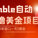 外面收费3888的rumble撸美金项目，号称单窗口一天5美金+【脚本+教程】