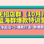 无招店群·蓝海群爆款特训营(10月新课) 低成本起店+小爆款打造+群爆款维护