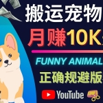 搬运TIKTOK视频到YouTube,并进行二次创作,月赚1万美元以上