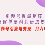 视频号批量矩阵的高客单高利润玩法揭秘： 视频号引流与变现 月入10W+