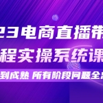 2023电商直播带货全流程实操系统课：从起号到成熟所有阶段问题全总结！