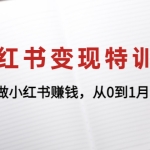 小红书变现特训营：带你做小红书赚钱，从0到1月入过万