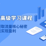 淘宝运营高级学习课程：快速获取流量核心秘密，轻松实现盈利！