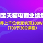 淘系天猫电商业绩增长：已培养上千位卖家实现100W+利润（700节30G课程）