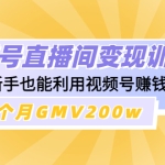 视频号直播间变现训练营：新手也能利用视频号赚钱，5个月GMV200w