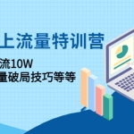 2023线上流量特训营：包含暴力引流10W+中小卖家流量破局技巧等等