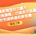 最新淘宝引力魔方低价引流实操:小成本大流量,低价引流快速拉新收割