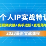 2023个人IP实战特训：基础准备+短视频实操+高手进阶+变现落地+数据+电商