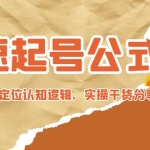 极速起号公式，个人ip起号与定位认知逻辑，实操干货分享