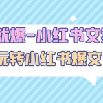 极速起号公式，个人ip起号与定位认知逻辑，实操干货分享