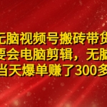 无脑视频号搬砖带货，只要会电脑剪辑，无脑干，亲测当天爆单赚了300多佣金