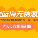 淘宝蓝海无货源项目，不囤货不推广只做冷门高利润代发，花一半时间赚10倍钱