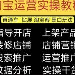 2023淘宝开店教程0基础到高级全套视频网店电商运营培训教学课程（2月更新）