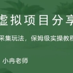 淘宝虚拟整店搬运采集玩法分享课：整店搬运采集玩法，保姆级实操教程