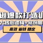 亚马逊爆款打造训练营:5大核心逻辑+案例展示 打造爆款链接 高效 省钱 稳定