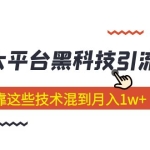 价值4899的2023大平台黑科技引流技术 小白也能靠这些技术混到月入1w+29节课