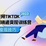 跨境·短视频TIKTOK零基础到精通变现训练营 短视频·独立站·带货变现技巧
