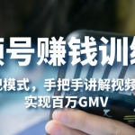 视频号赚钱训练营：6大变现模式，对平台的各项功能详细讲解，实现百万GMV