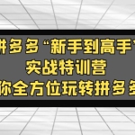 拼多多“新手到高手”实战特训营:带你全方位玩转拼多多!