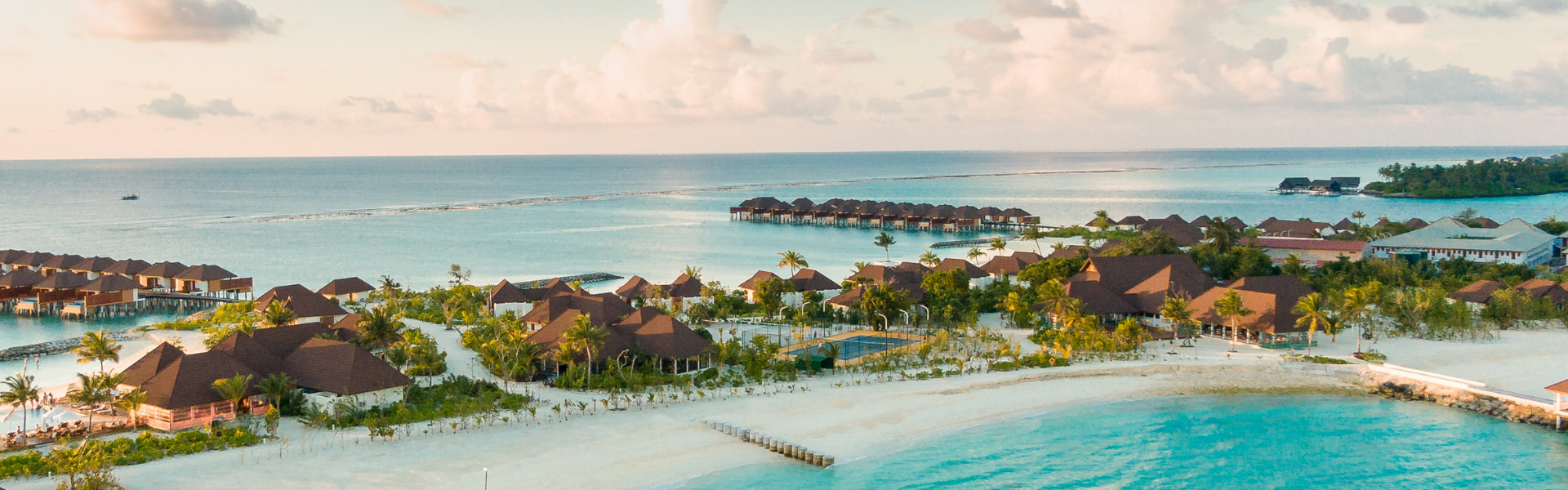 网罗全网最新最全的网创项目、引流技术、营销软件及源码工具等资源，年卡vip限时198 全站资源免费下载!